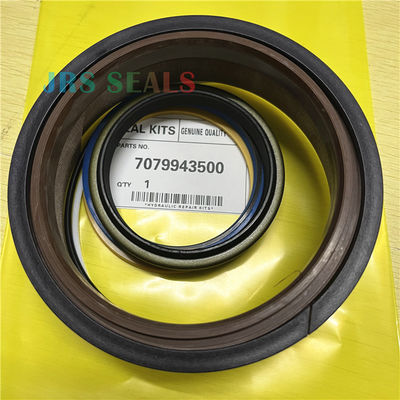 7079943500 7079965840 707-99-43500 707-99-65840 Siłownik hydrauliczny Ramię koparki Zestaw uszczelek łyżki wysięgnika